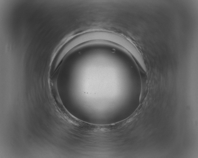 X0000083000152200702160058