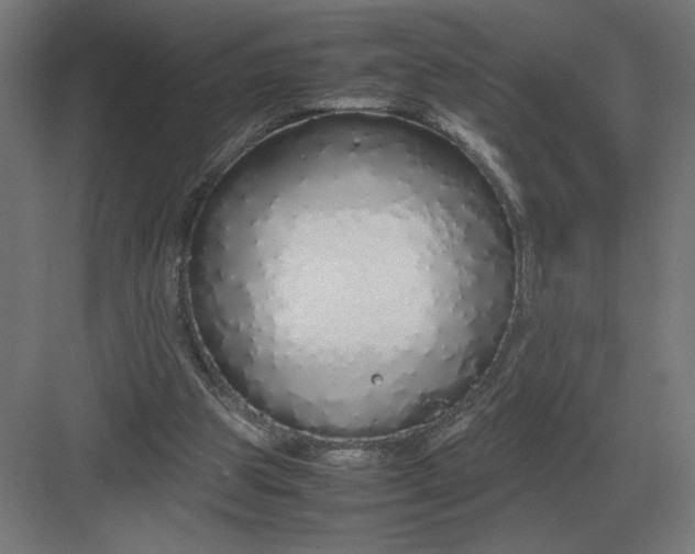 X0000083000153200702160058