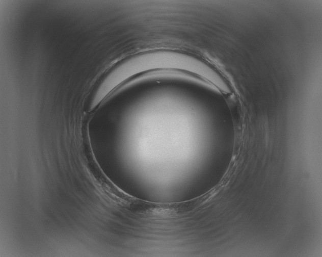 X0000083000154200702160058