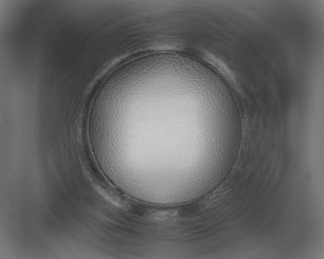 X0000083000155200702160058