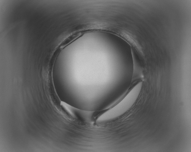 X0000083000156200702160058