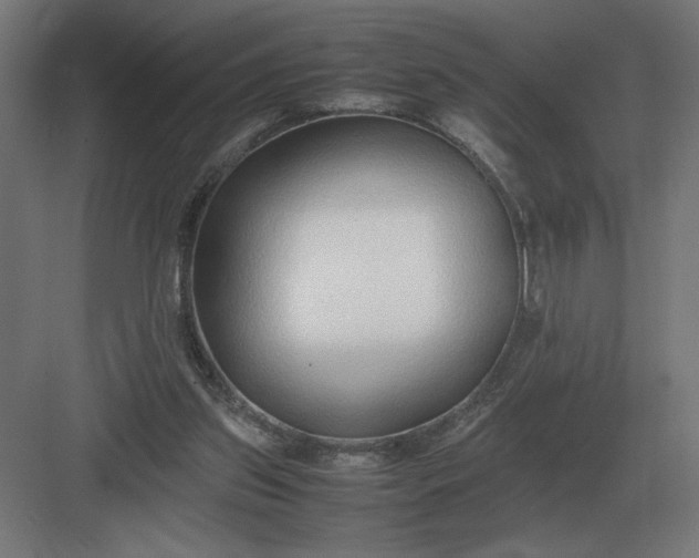 X0000083000157200702160058