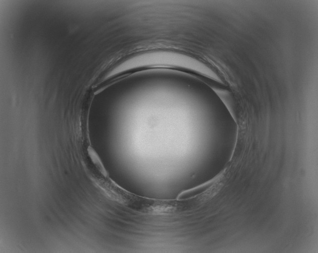 X0000083000158200702160058