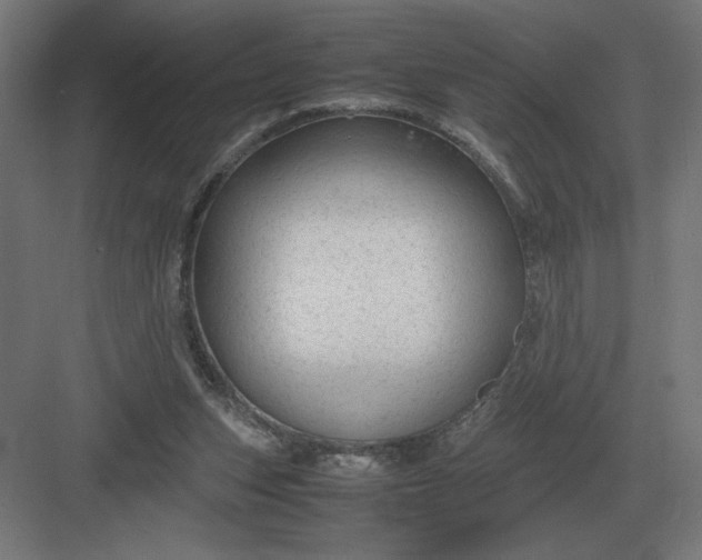 X0000083000159200702160058