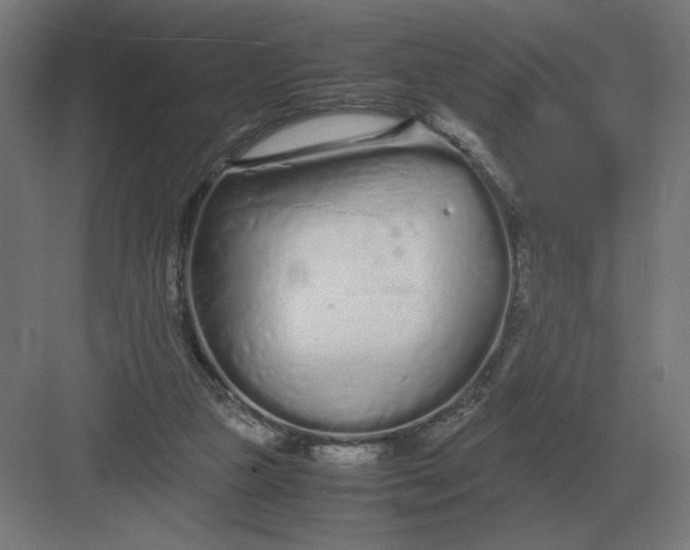 X0000083000161200702160058