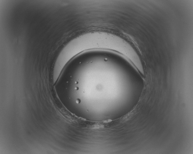 X0000083000162200702160058