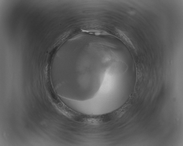 X0000083000163200702160058