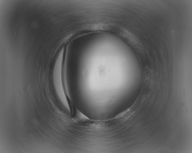 X0000083000164200702160058