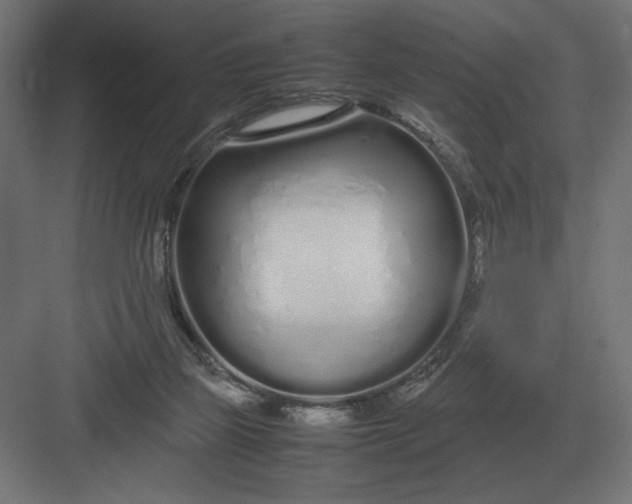 X0000083000165200702160058