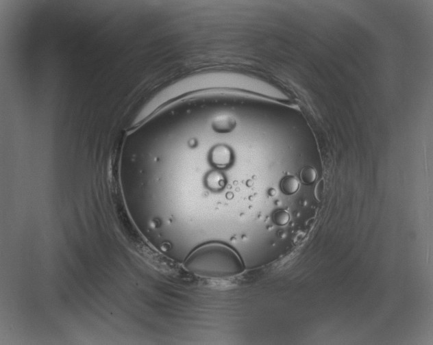 X0000083000166200702160058