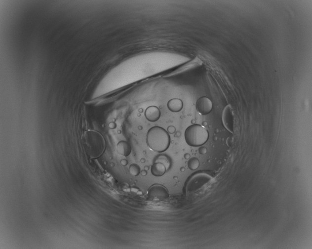 X0000083000167200702160058