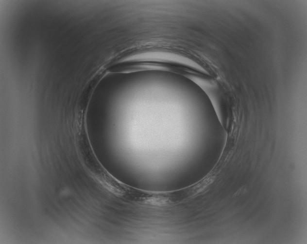 X0000083000168200702160058