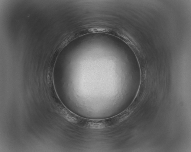 X0000083000169200702160058