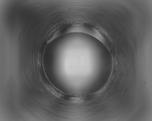 X0000083000170200702160058