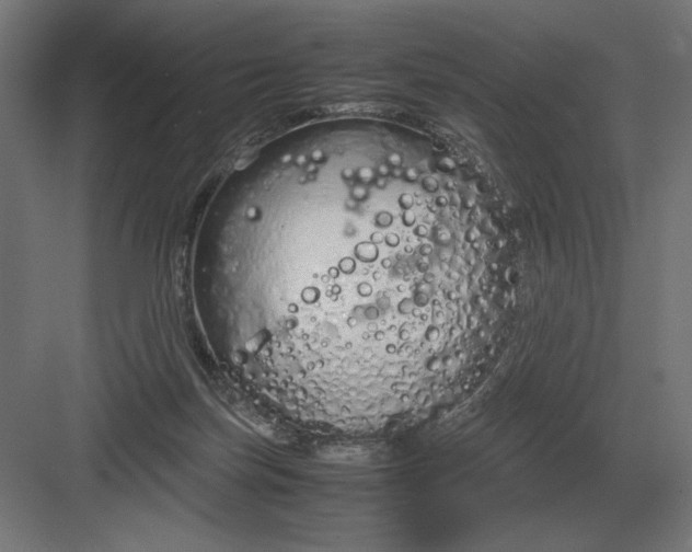 X0000083000171200702160058