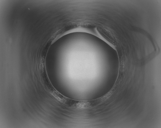 X0000083000172200702160058