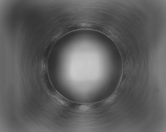 X0000083000176200702160059