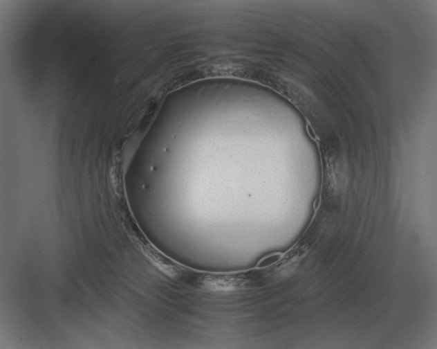 X0000083000181200702160059