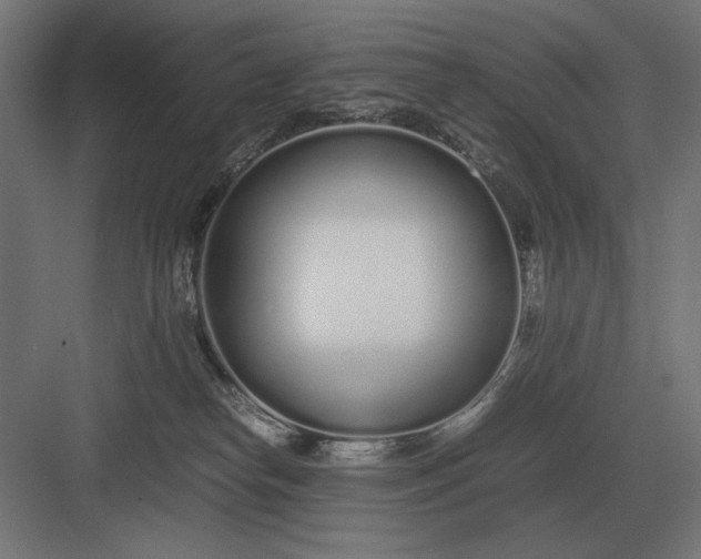 X0000083000182200702160059