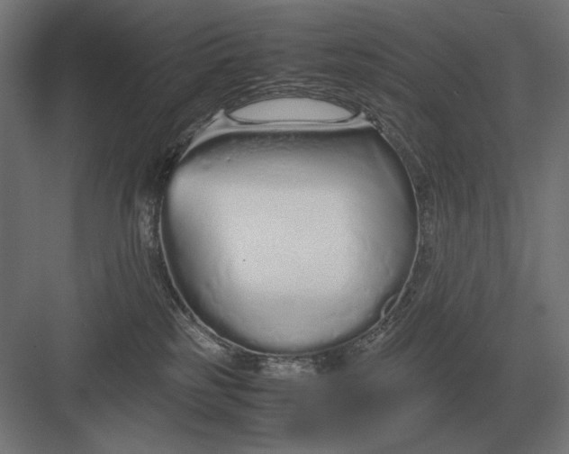 X0000083000185200702160059