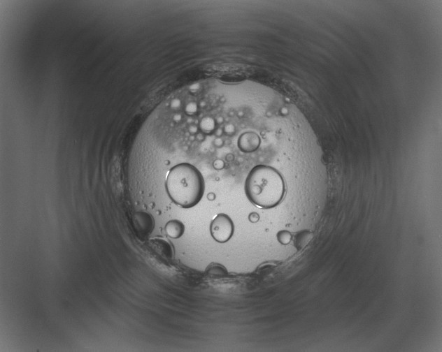 X0000083000187200702160059