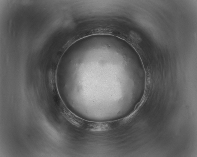 X0000083000191200702160059