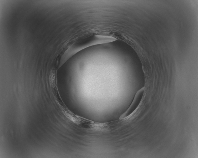 X0000083000192200702160059