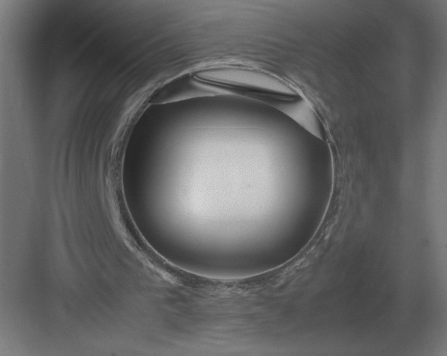 X0000083000193200702160058