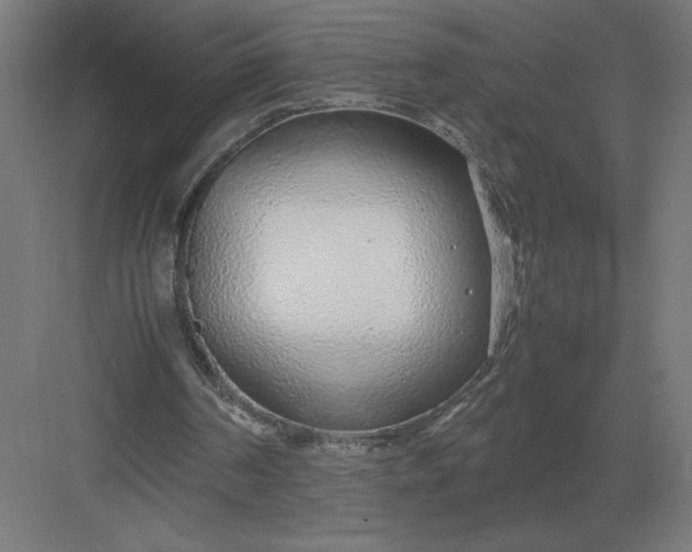 X0000083000194200702160058