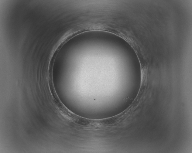 X0000083000195200702160058