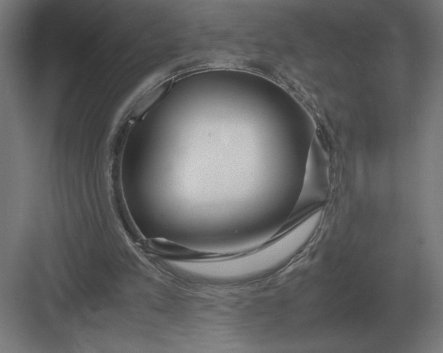 X0000083000197200702160058