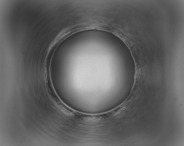 X0000083000198200702160058