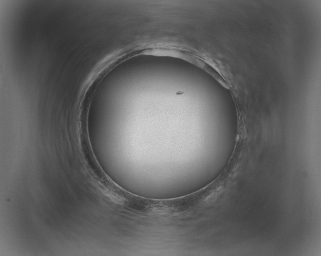 X0000083000199200702160058