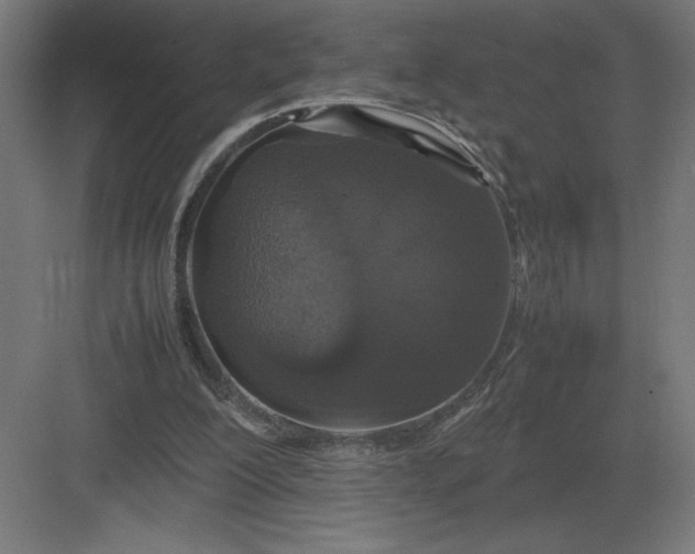 X0000083000200200702160058