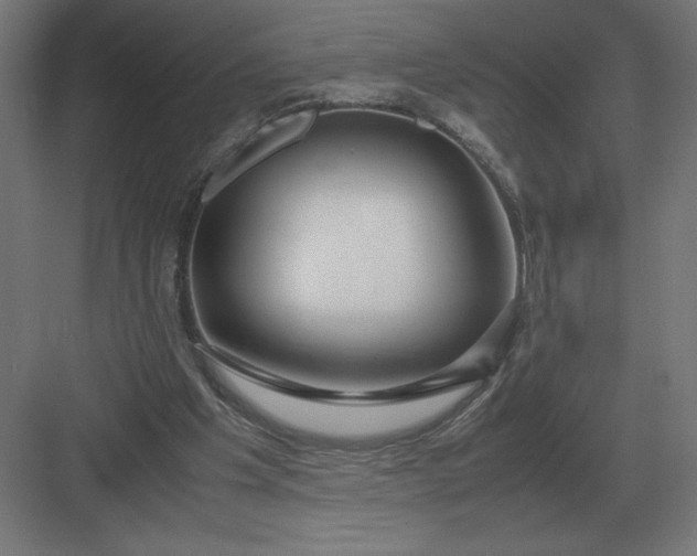 X0000083000201200702160058