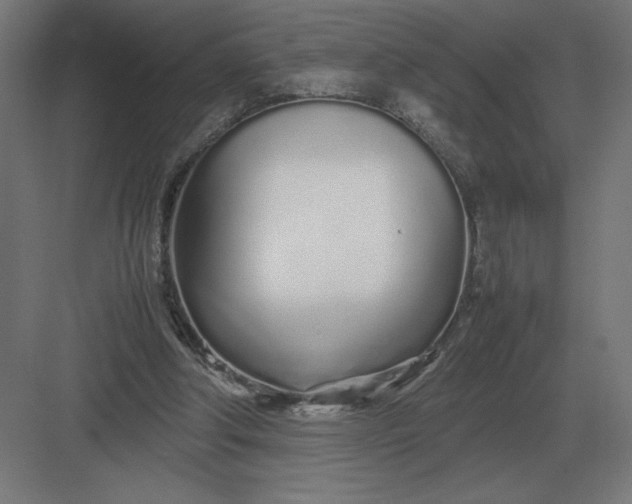 X0000083000202200702160058