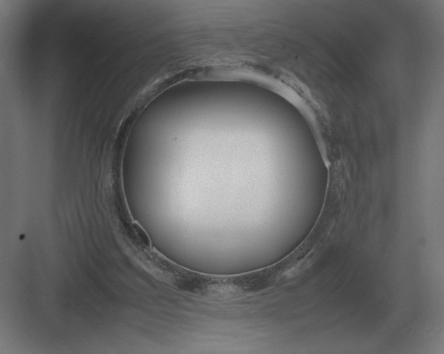 X0000083000203200702160058