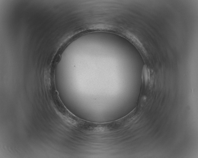 X0000083000204200702160058