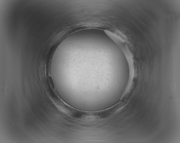 X0000083000205200702160058