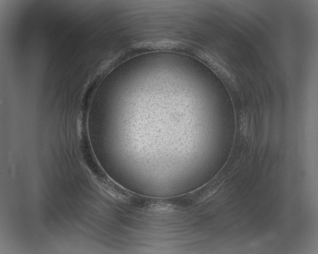 X0000083000206200702160058