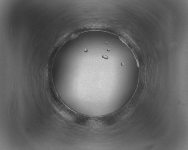 X0000083000207200702160058