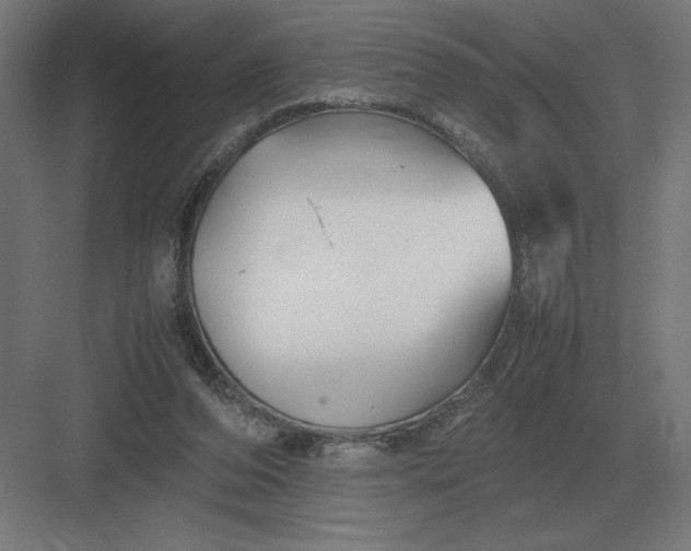 X0000083000208200702160058