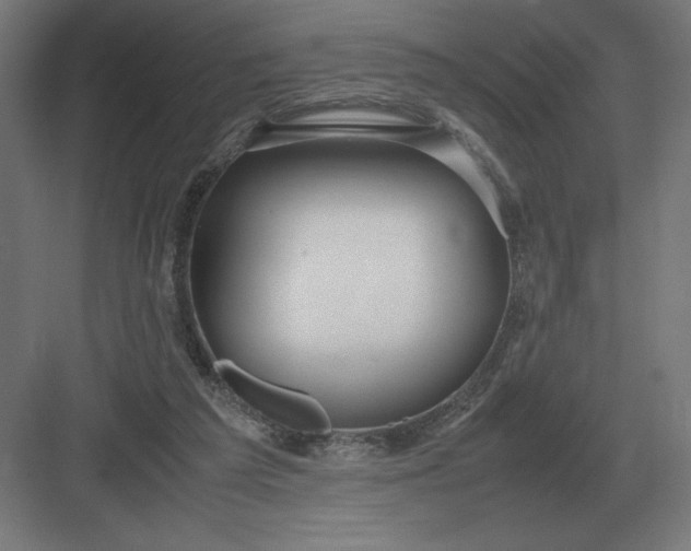 X0000083000209200702160058