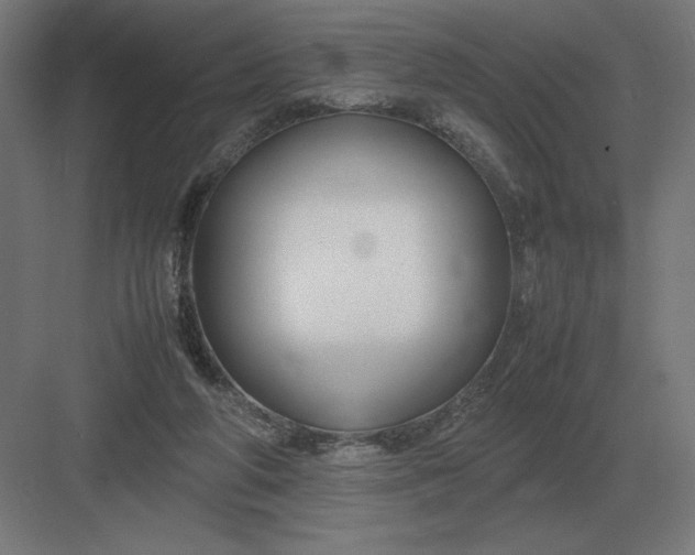 X0000083000210200702160058