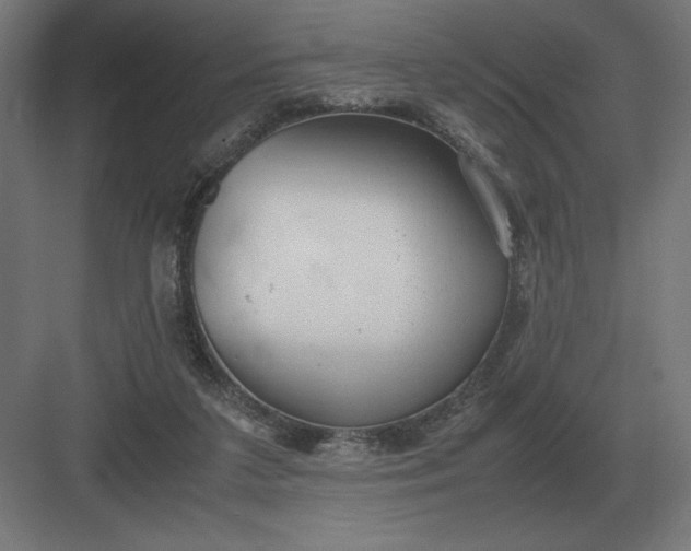 X0000083000211200702160058