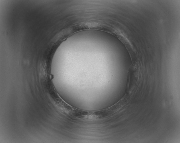 X0000083000212200702160058