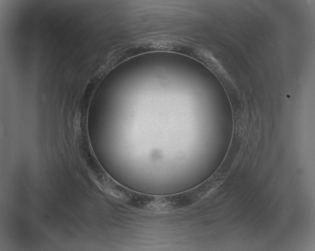 X0000083000213200702160058