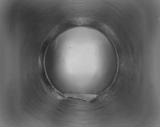 X0000083000214200702160058