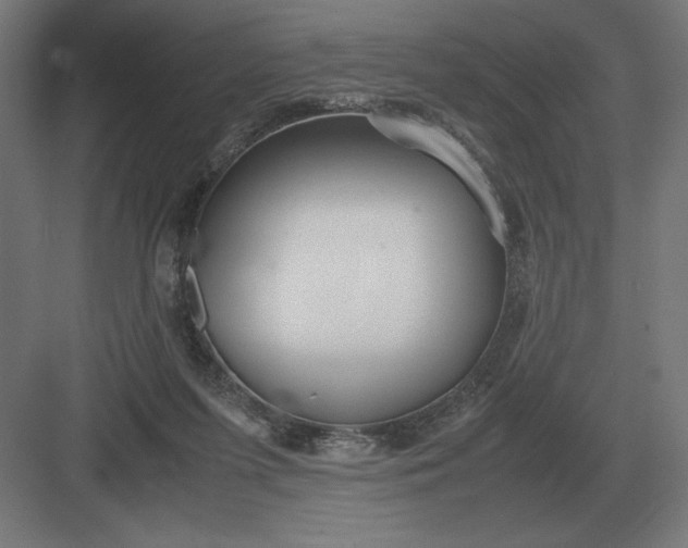 X0000083000215200702160058