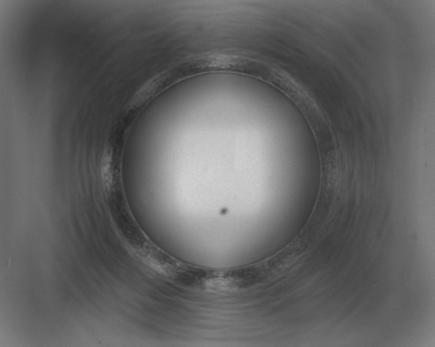 X0000083000216200702160058